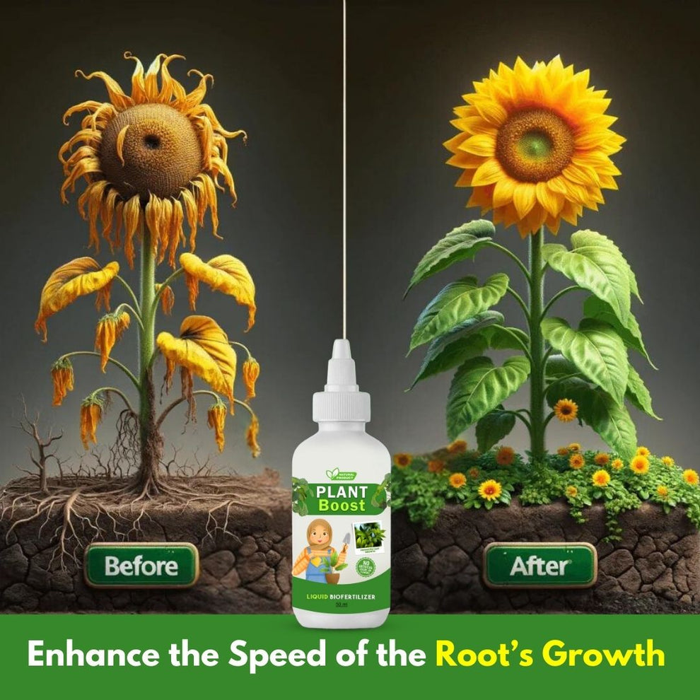 Natural Plant Care Combo - Plant Boost with Safe Plant Sprays