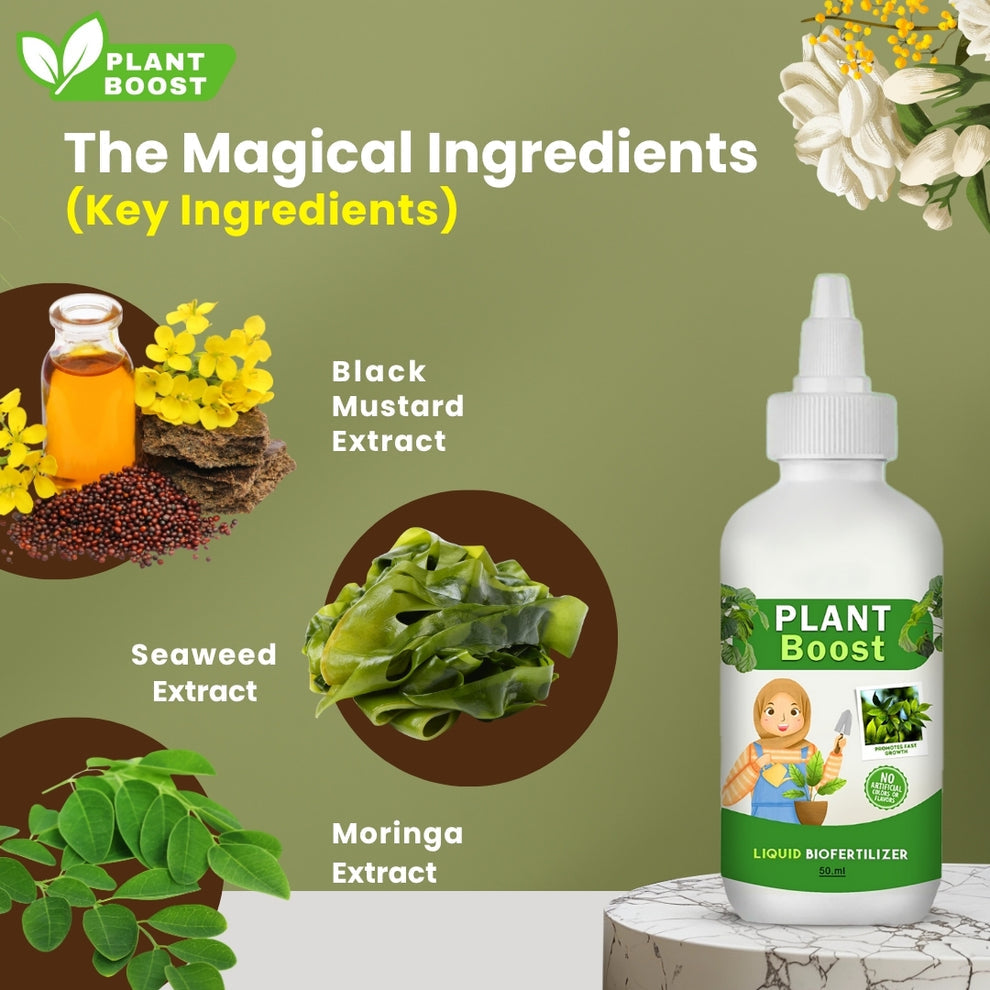 Natural Plant Care Combo - Plant Boost with Safe Plant Sprays