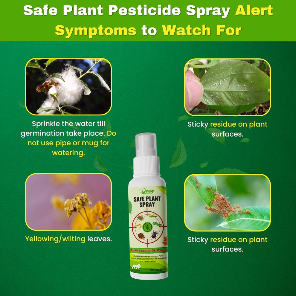 Natural Plant Care Combo - Plant Boost with Safe Plant Sprays